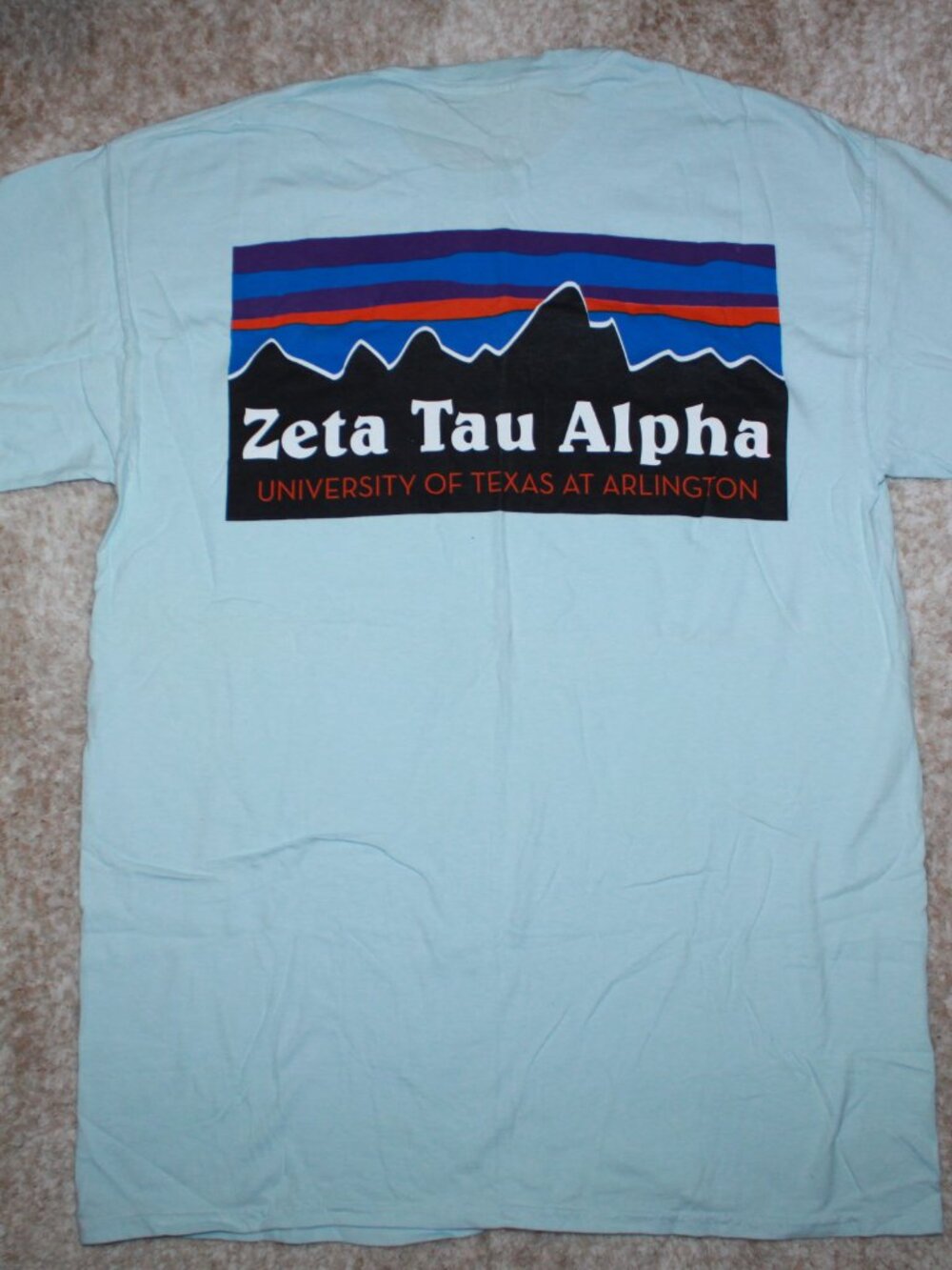 ZTA Patagonia T-shirt